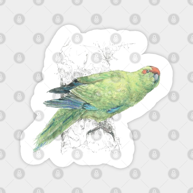 Mr Kakariki , New Zealand native bird New Zealand TeePublic