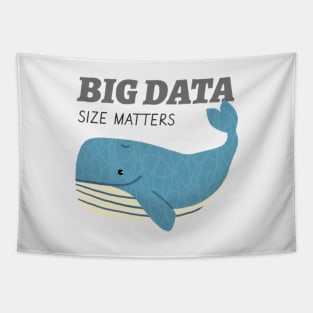 Big Data Tapestry