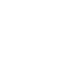 Boerboel Training Boerboel Dog Tricks Magnet