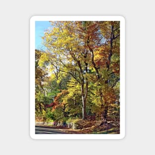 Mountainside NJ - Autumn Stroll Magnet