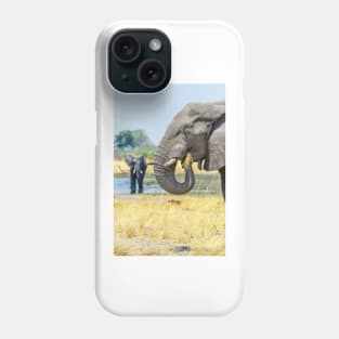 African bush elephant eating Phone Case