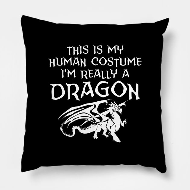 This is my human costume I'm really a dragon Pillow by captainmood