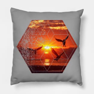 Nature and Geometry Pillow