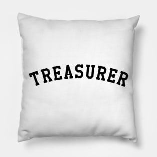 Treasurer Pillow