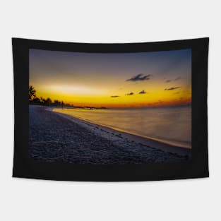 Golden Sunrise Tapestry