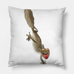 Angry Fimbriatus Pillow