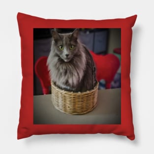 Grey green eyed cat in a basket Pillow