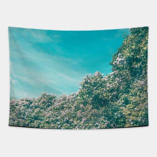 Blooming Lilac hedge and blue sky Tapestry