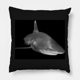 The Sly Grin of An Oceanic White Tip Shark Pillow