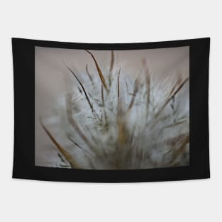 Soft fall Tapestry