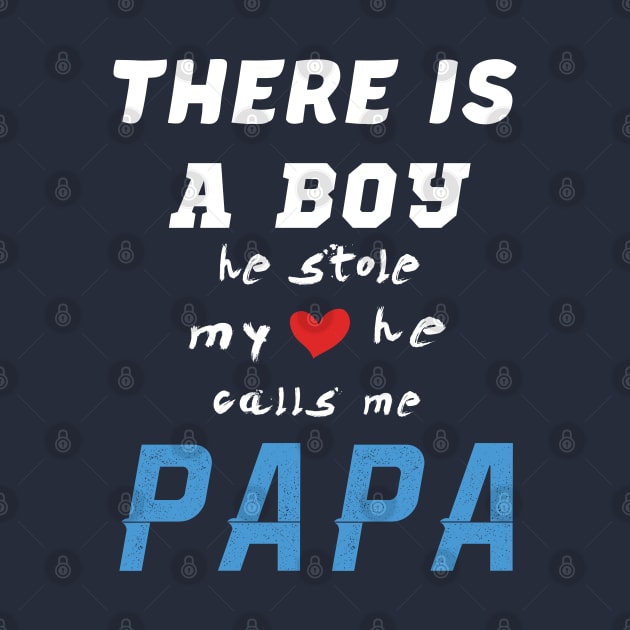 Papa Gifts Shirts from Grandson, he Stole My Heart by CareTees