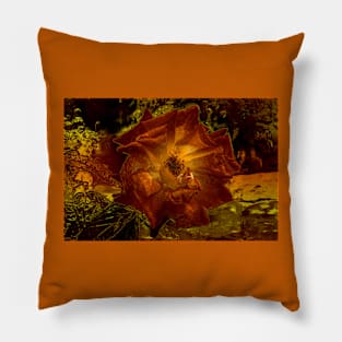 Terracotta Color Rose Pillow
