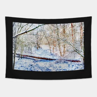 Forest in the Snow HDR Tapestry