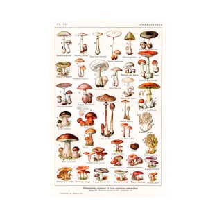 A variety of mushroom species T-Shirt