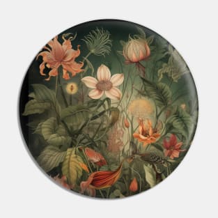 A.I. Gardens :: Sampling Masters :: Ernst Haeckel + Rembrandt Pin