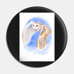 Barn Owl Silent Flight by Nadya Neklioudova Pin