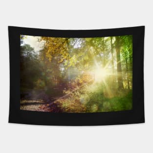 Light the way home Tapestry