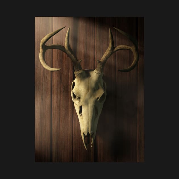 Deer Skull by DanielEskridge