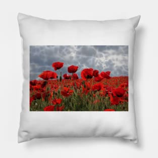 bright red glowing poppy in a field of wild uncultivated flowers Pillow