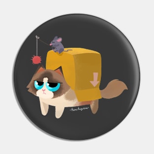 Box cat Pin