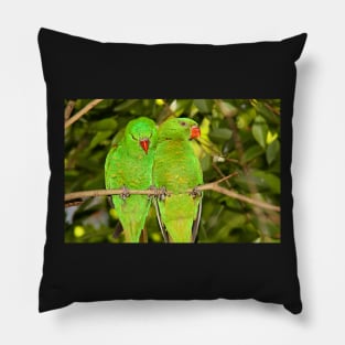 Scaly-breasted Lorikeets Pillow