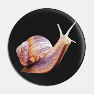 Common Garden Snail illustration. Unique little snail art, cute little creature. Pin