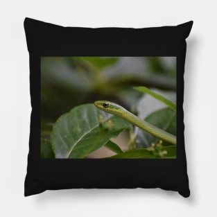 Green Snake Pillow