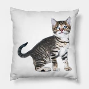 RDJ SPIDERMAN HOMECOMING CAT ( larger Catto) Pillow