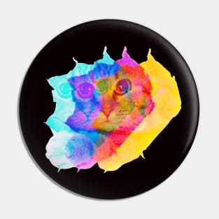 Trippy Kitty Pin