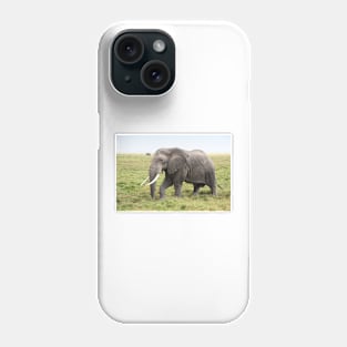 Bull Elephant Following the Herd, Amboseli, Kenya Phone Case