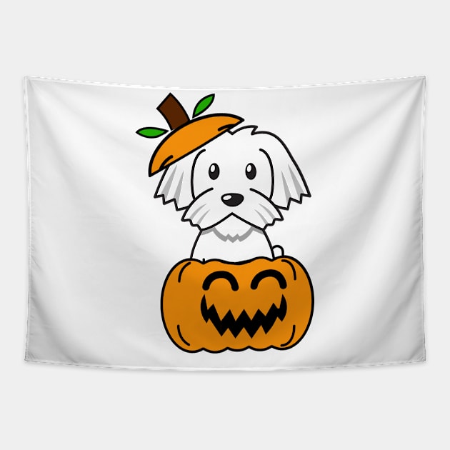 Funny white dog is in a pumpkin Tapestry by Pet Station