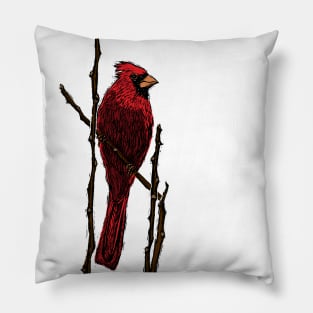 Northern Cardinal Pillow