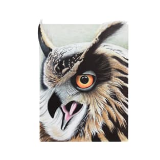 Horned Owl T-Shirt