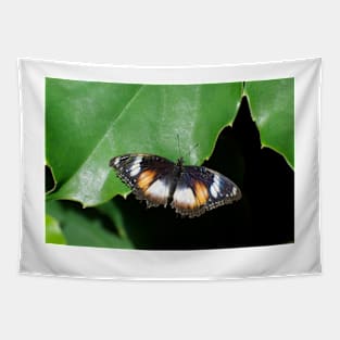 Common Egg Fly Butterfly Tapestry