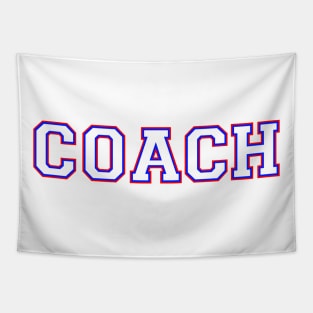 Coach in Red, White and Blue Tapestry