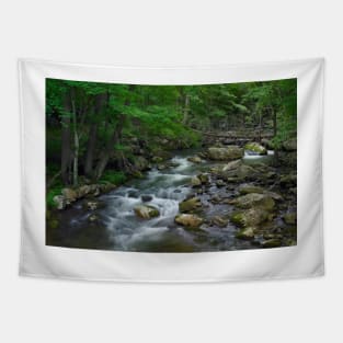 Little Stony Creek Flowing Through Jefferson National Forest Tapestry