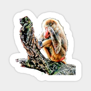 contemplating life baboon Magnet