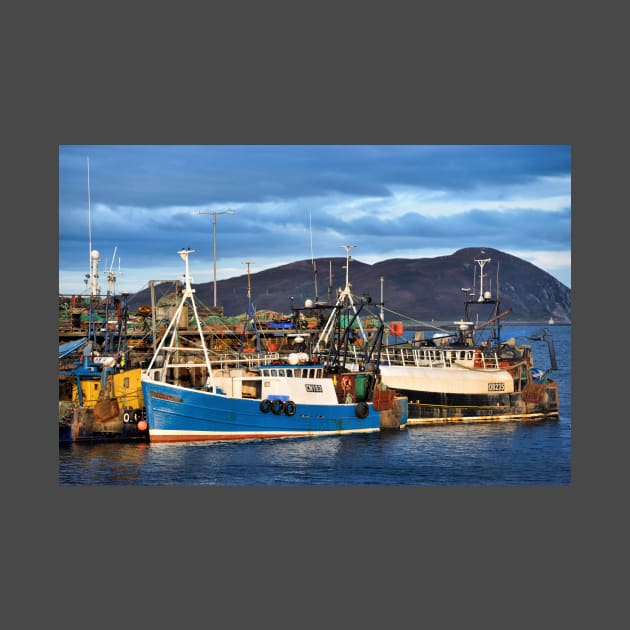 Fishing boats in evening light at Campbeltown, Scotland by richflintphoto