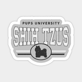 Shih Tzus - Pups U Magnet