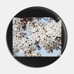 Somerset Sakura Pin