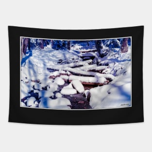 Winter Snow on a Spring Brook Tapestry