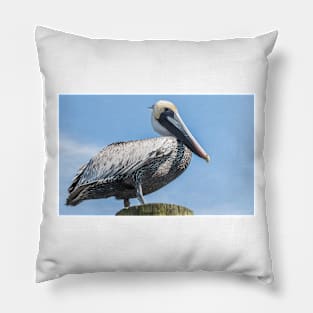 Brown pelican bird of prey Pillow