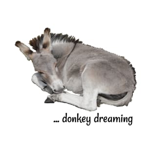 Grey Donkey Dreaming T-Shirt