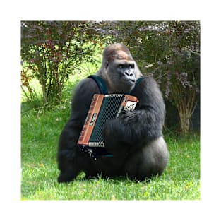 Weird Wacky Humor Accordion Playing Gorilla Lover Design T-Shirt