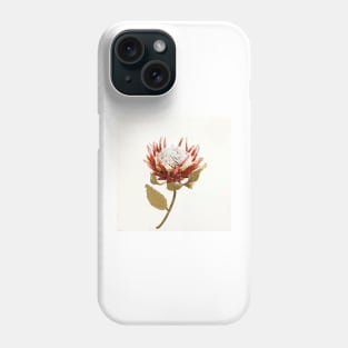 Protea - Still Life - Botanical Art Phone Case