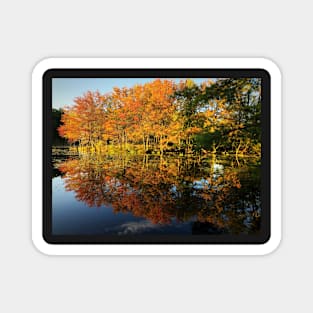 New England Autumn Magnet