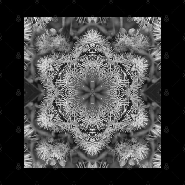 Magical black and white mandala 011 by hereswendy