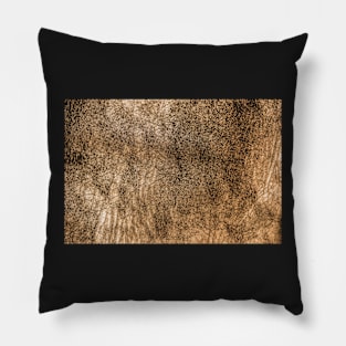 Leather texture closeup Pillow