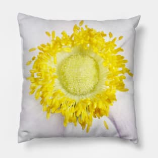 Sunshine Yellow Pillow