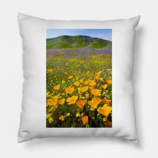 Shell Creek, California (C008/4531) Pillow